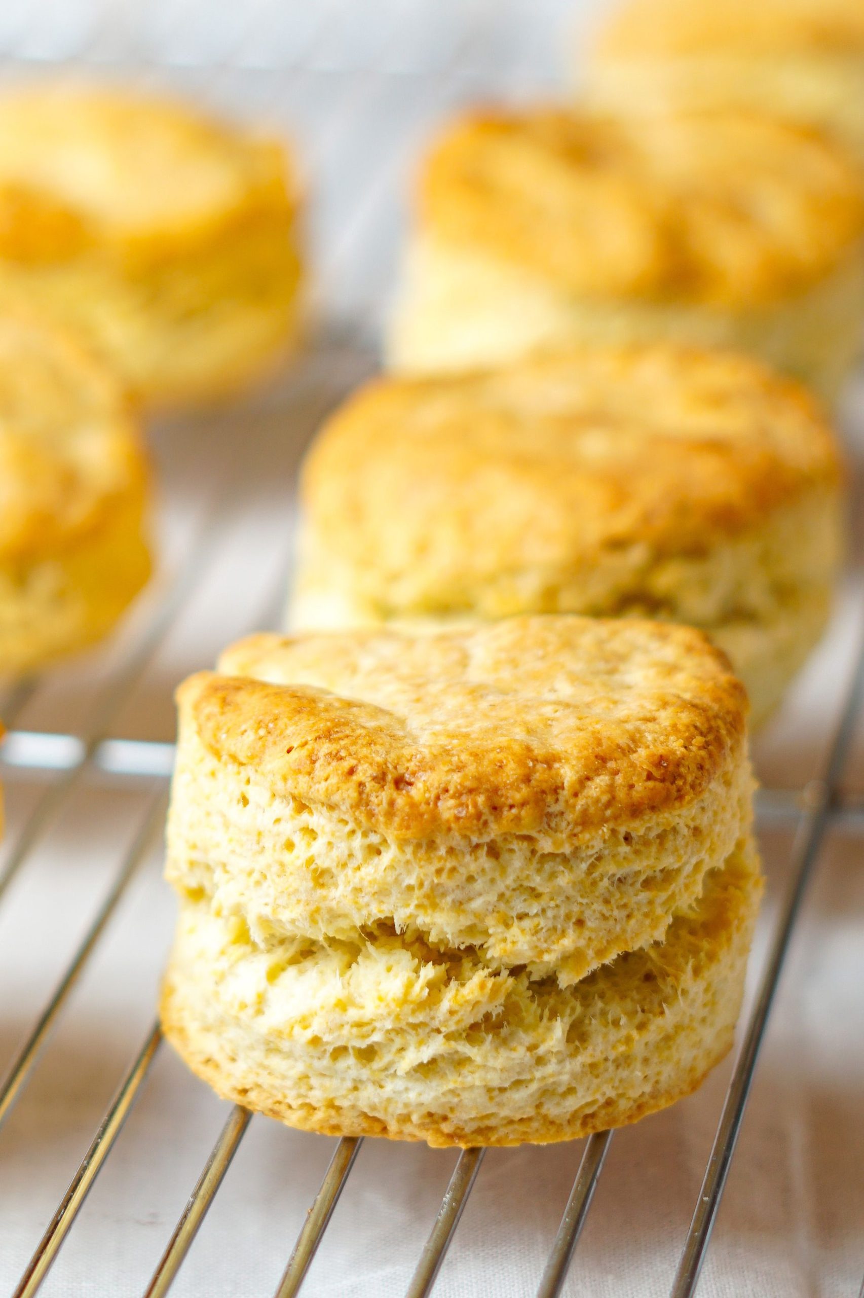 biscuits with all purpose flour