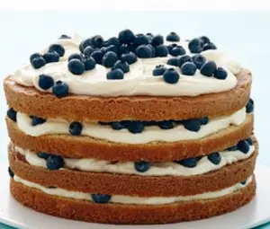 blueberry-zucchini-cake-recipe-with-orange-buttercream