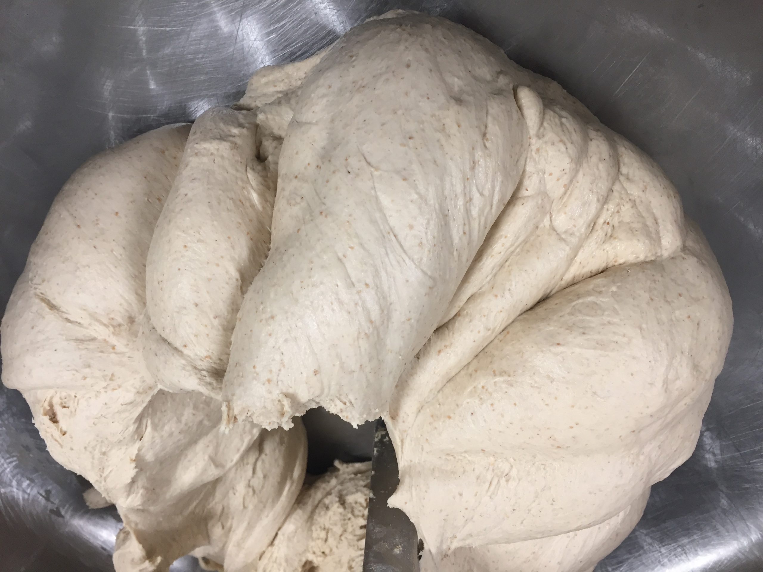 biga dough