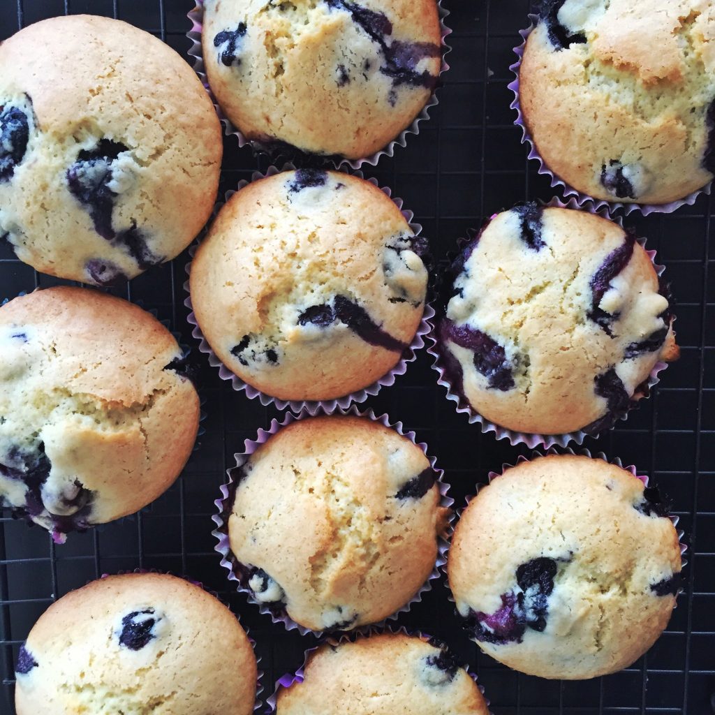 blueberry muffins with canned blueberries