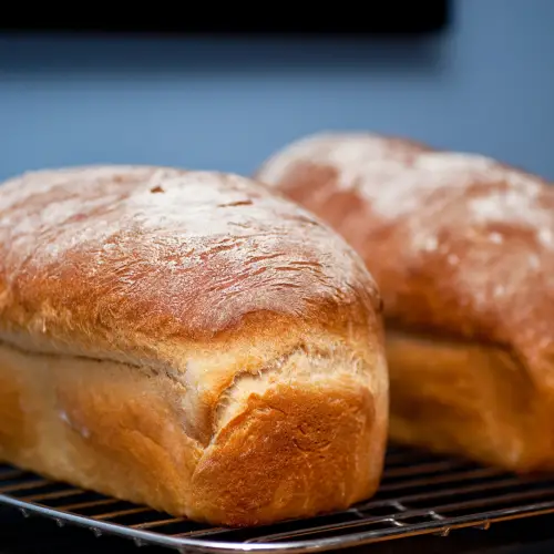 crusty country loaf bread
