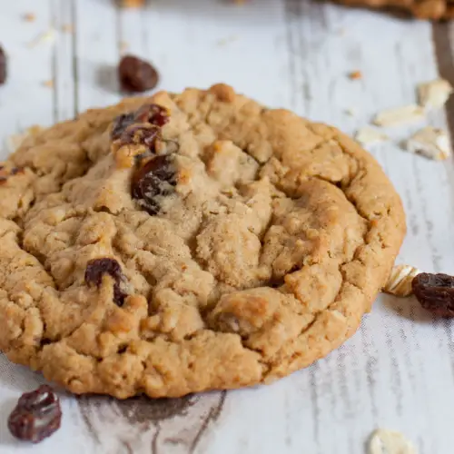 soft sugar free cookies with raisins