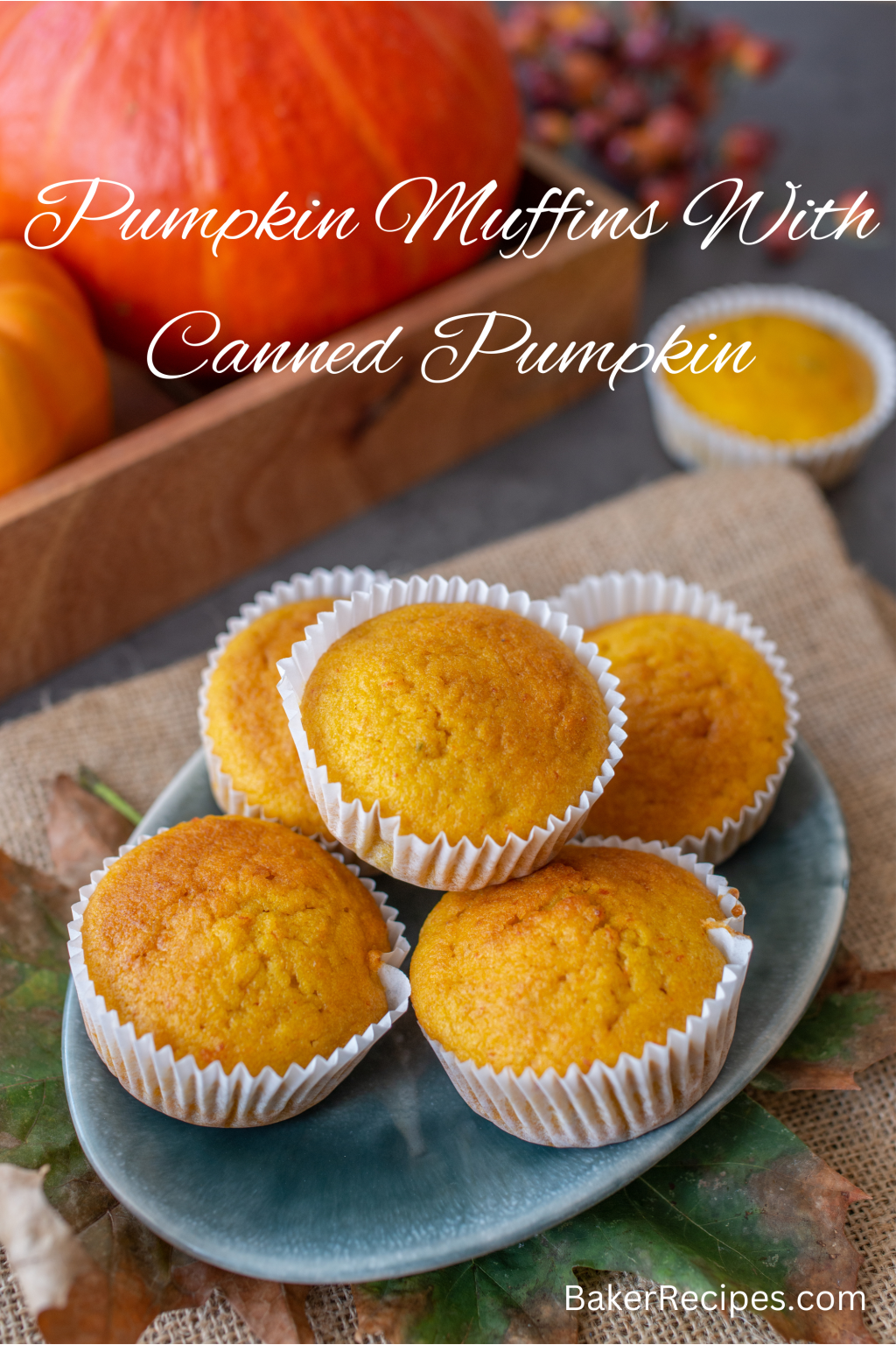 Pumpkin Muffins Recipe With Canned Pumpkin Baker Recipes   Canned Pumpkin Muffins 1024x1536 