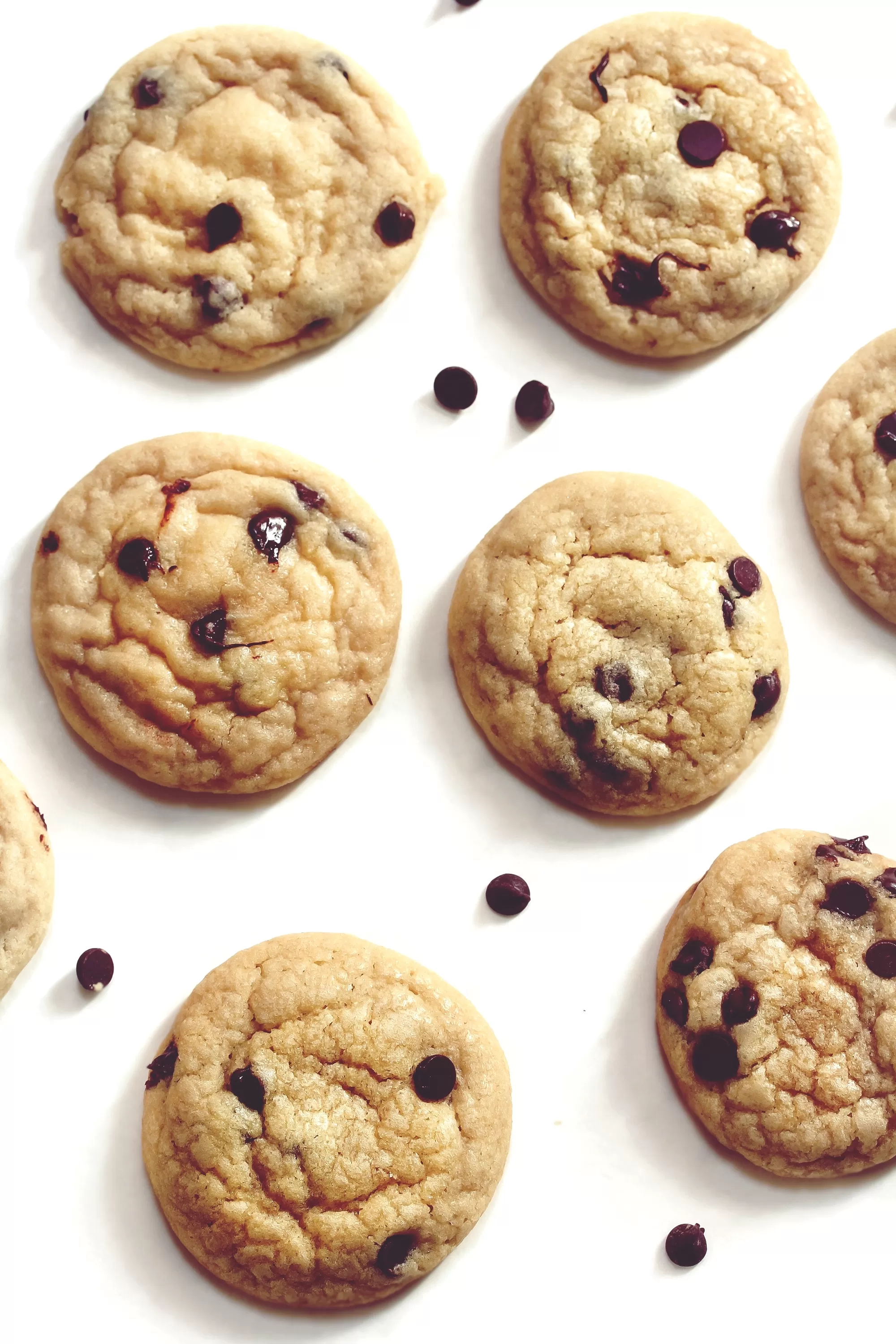 chewy chocolate chip cookies bakery style