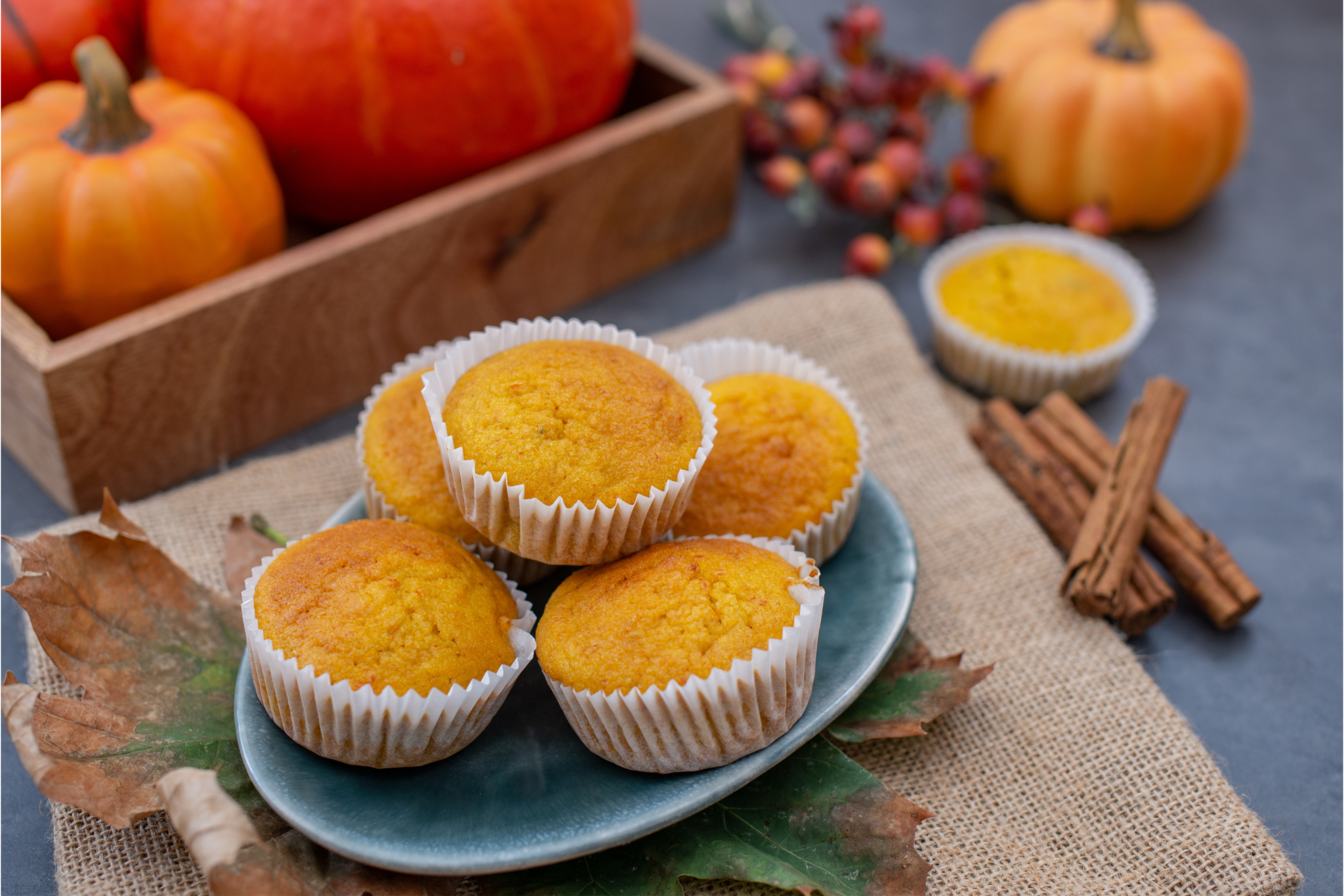 Pumpkin Muffins Recipe With Canned Pumpkin Baker Recipes   Pumpkin Muffins With Canned Pumpkin 2048x1365 